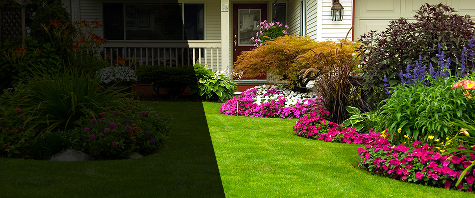 Grenada Landscapers