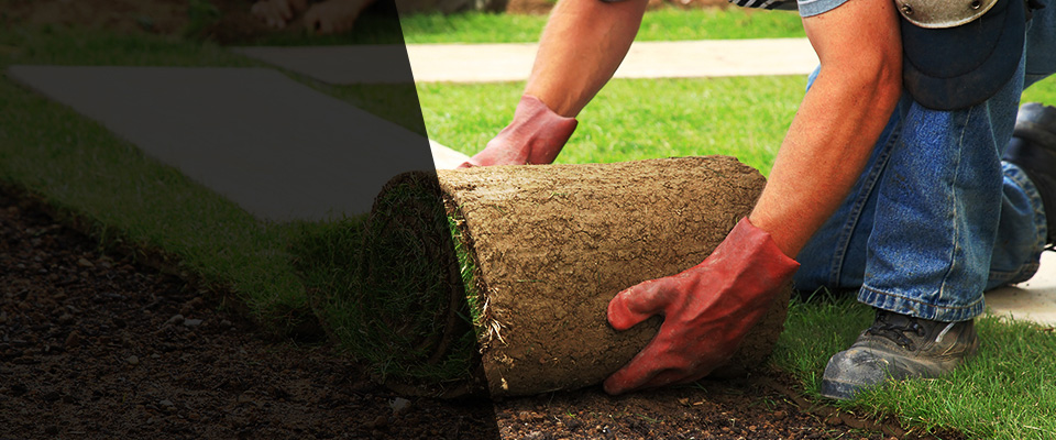 Grenada Landscapers